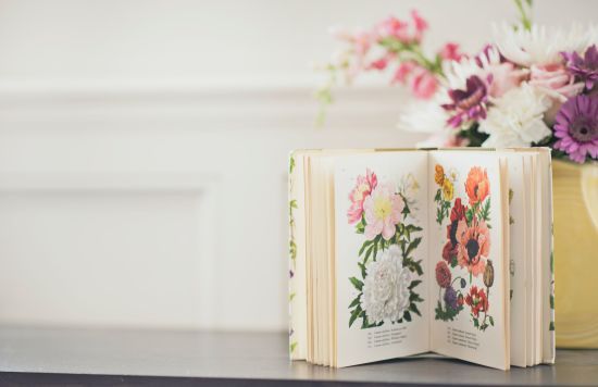 Скандал з "Книгарнею Є": наскільки українським книжкам загрожує російське книговидавництво