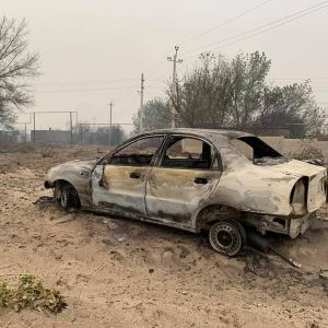 Растет число погибших в масштабном пожаре в Луганской области