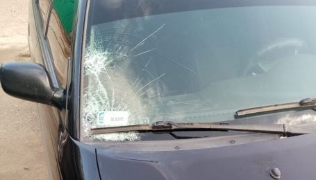 В Херсонской области пьяный водитель на еврономерах сбил ребенка и скрылся (фото)