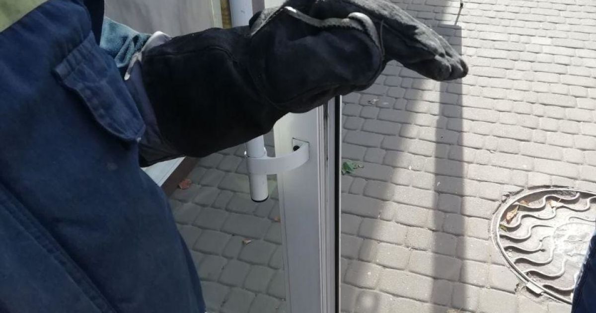 Зашел в гости на пиво: в Кривом Роге в магазине выловили пресмыкающееся (видео)