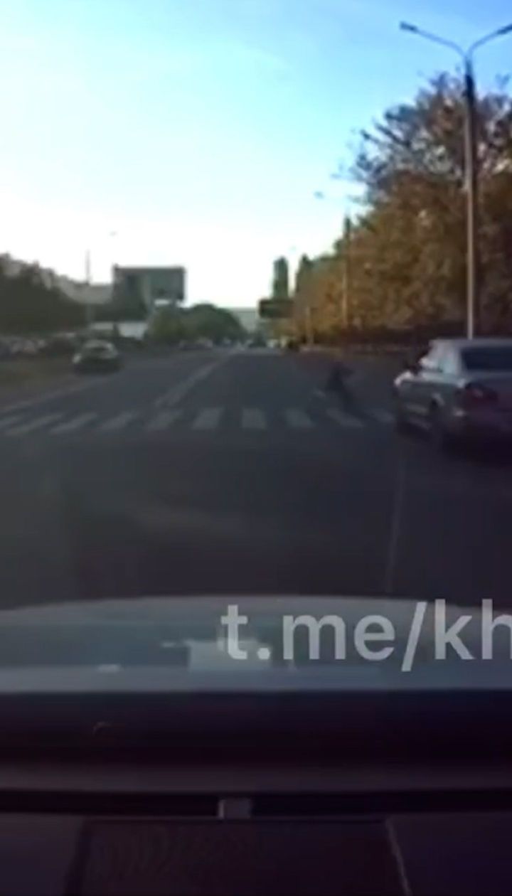 Сбил ребенка на "зебре" и не остановился: в Харькове водитель скрылся с места ДТП