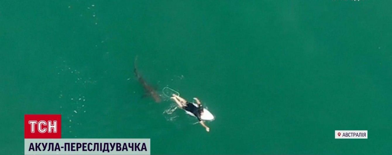 На австралійському пляжі акула ледве не проковтнула серфера