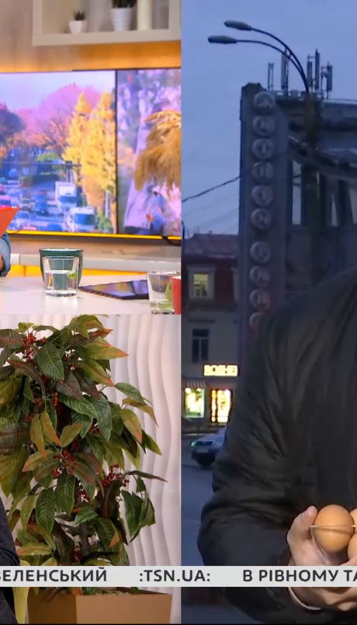 Празднуем день яйца: польза, вред и цены на продукт