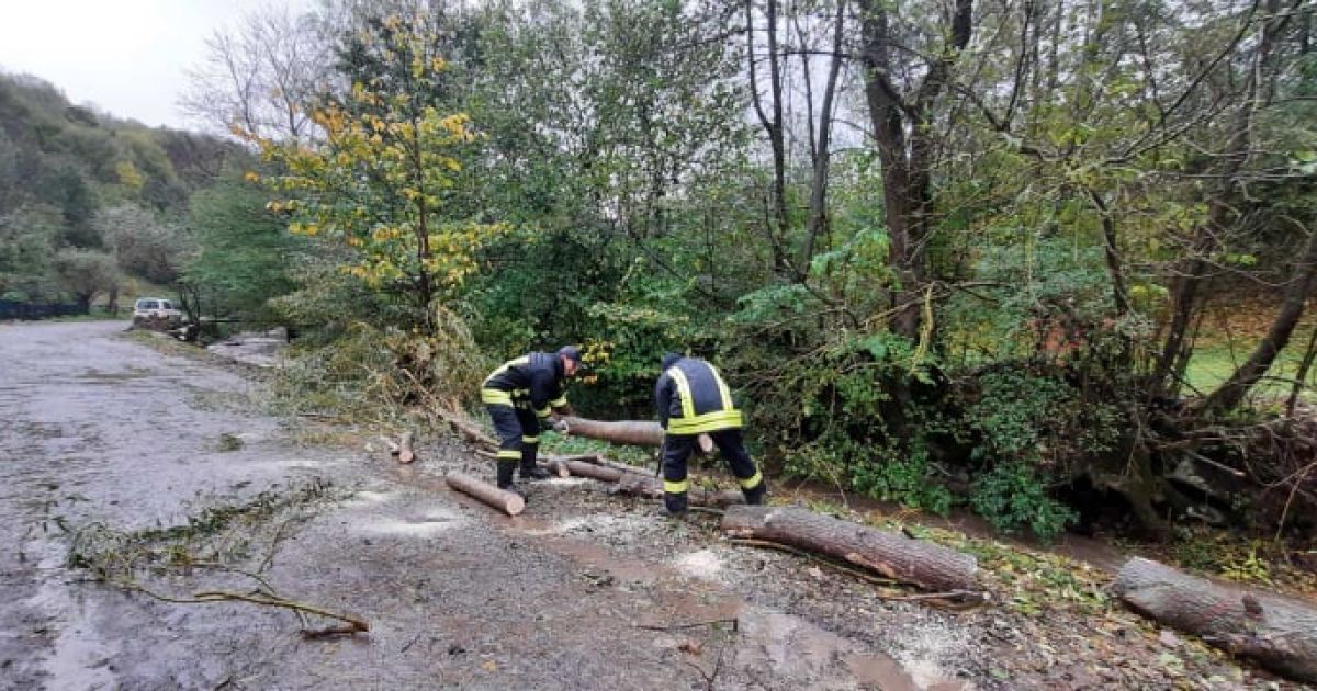 Деревья валились на дорогу, а вода заливала подвалы: на Закарпатье непогода наделала беды