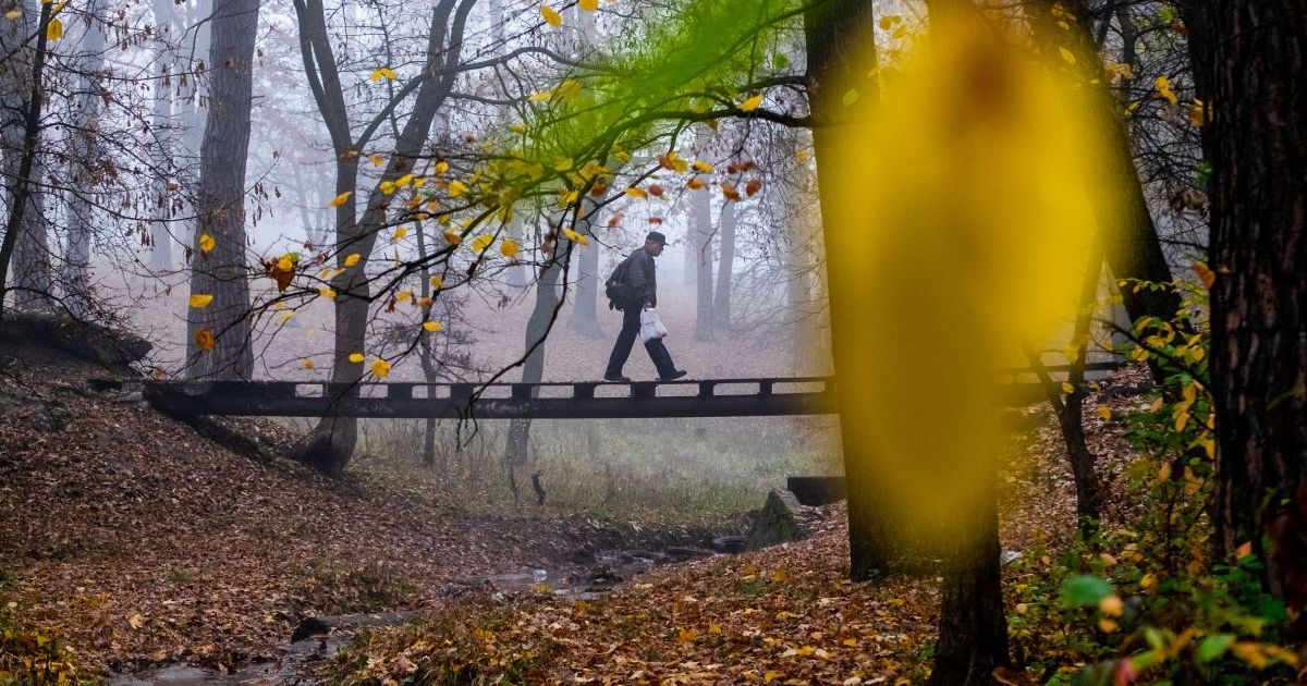 Погода в листопаді: синоптики розповіли, чи чекати українцям на перший сніг