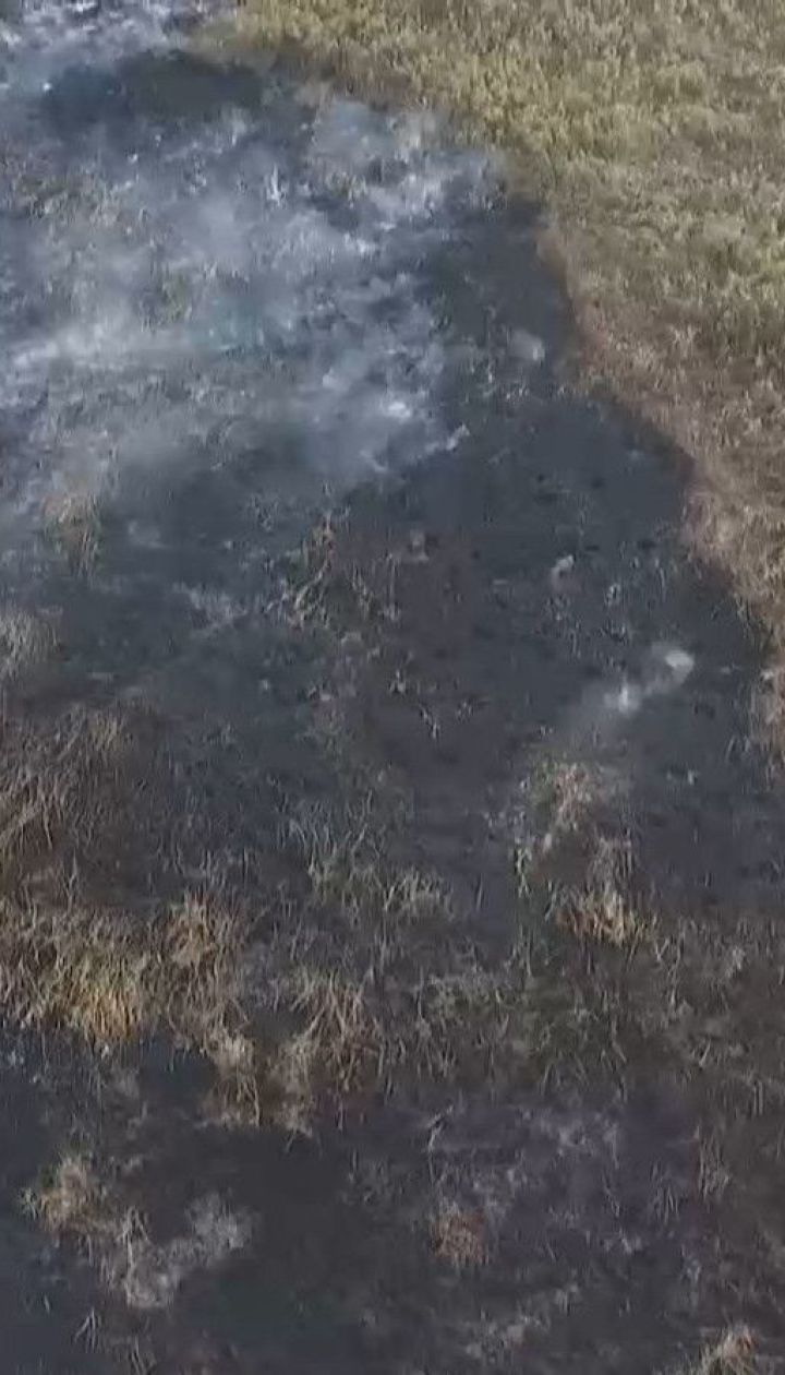 У Черкаській області третю добу не можуть ліквідувати пожежу на торфовищах