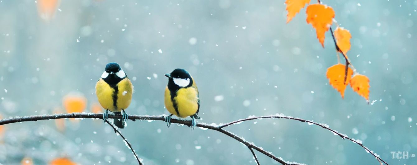 Гороскоп на 29 жовтня для всіх знаків зодіаку: день, коли зірки будуть допомагати активним
