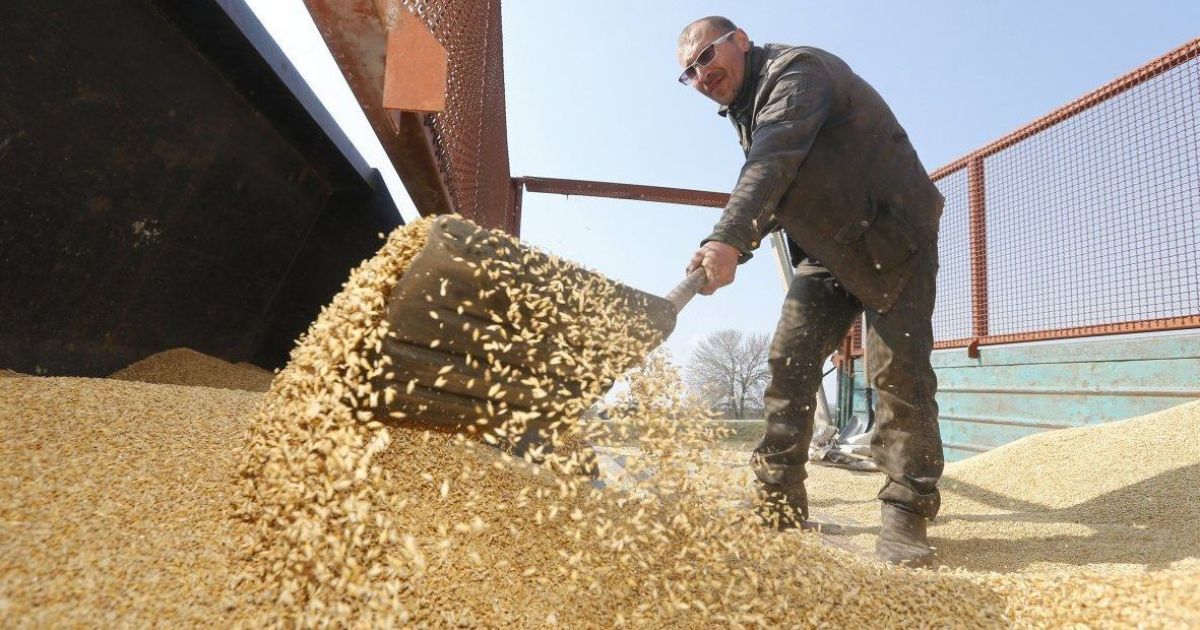 Україна — другий найбільший експортер зерна у світі після США