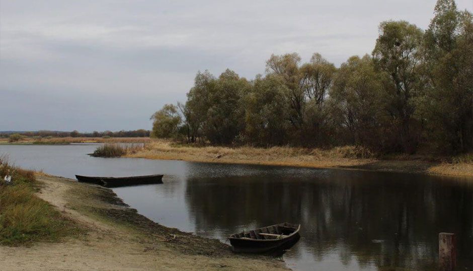 Дельта Росі