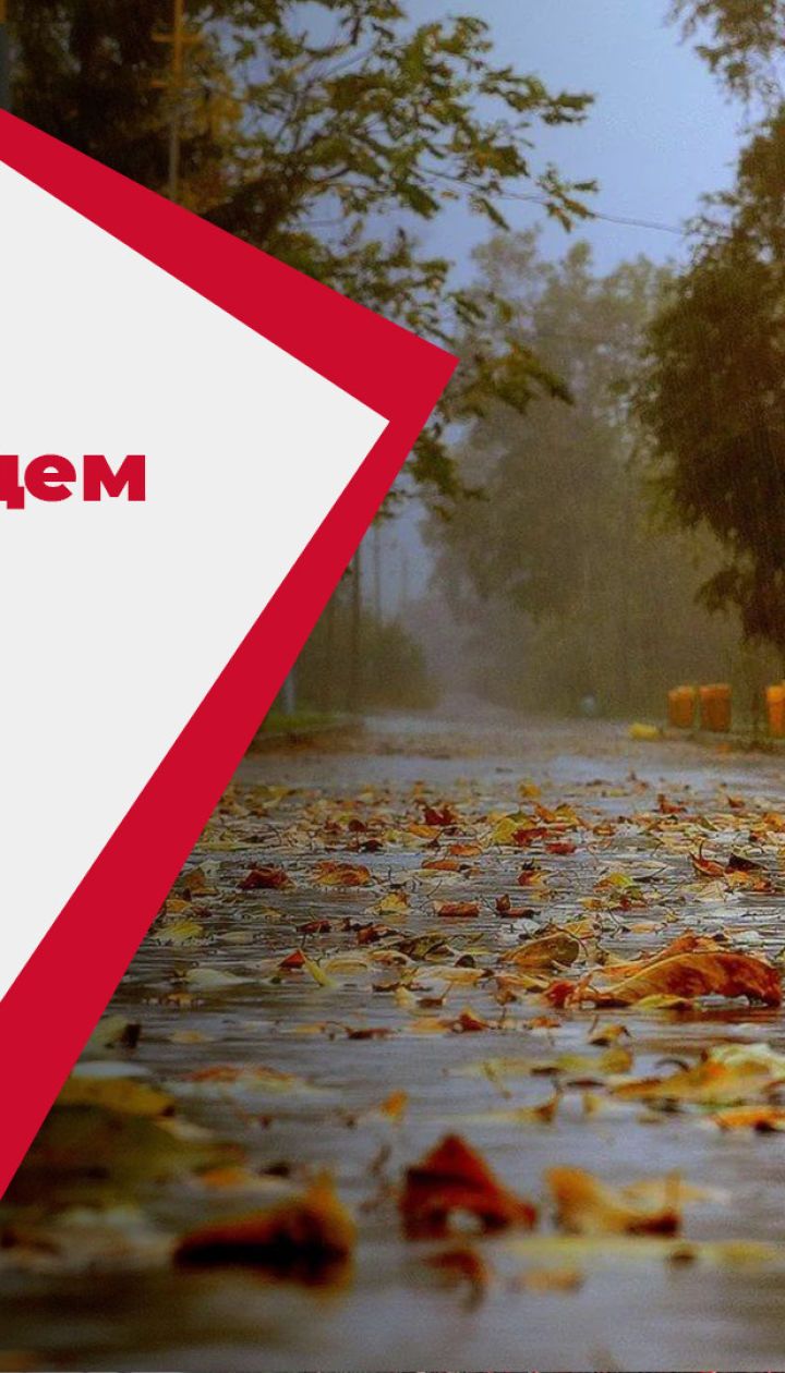 Зелена трава, дощі та перший сніг - яким буде листопад в Україні