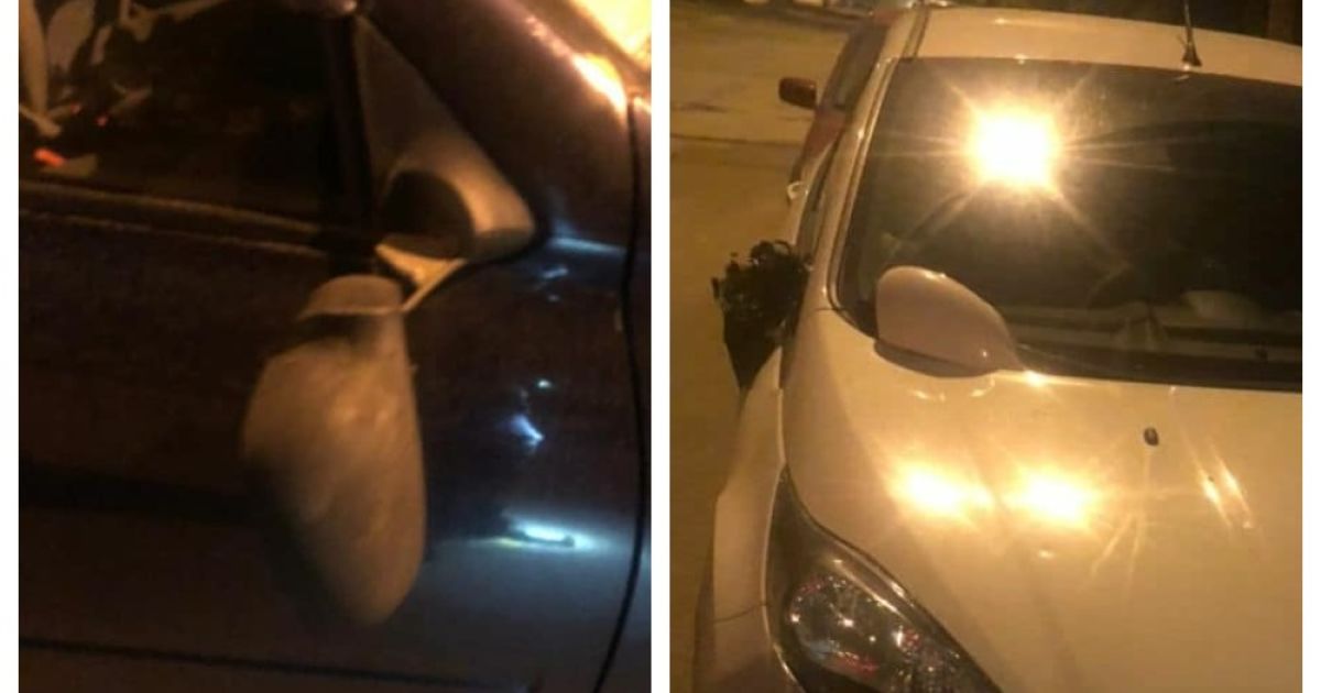 В Киеве двое нетрезвых мужчин отрывали зеркала у припаркованных авто и напали на копов