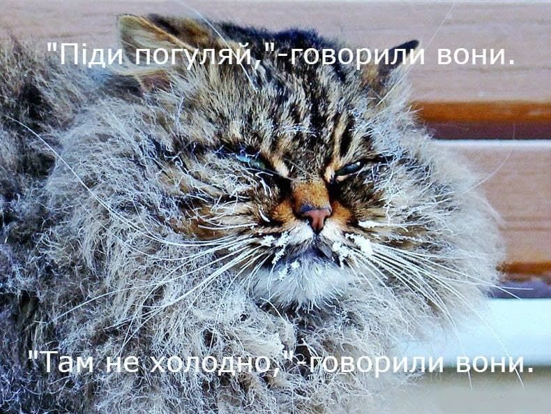 сніг мем