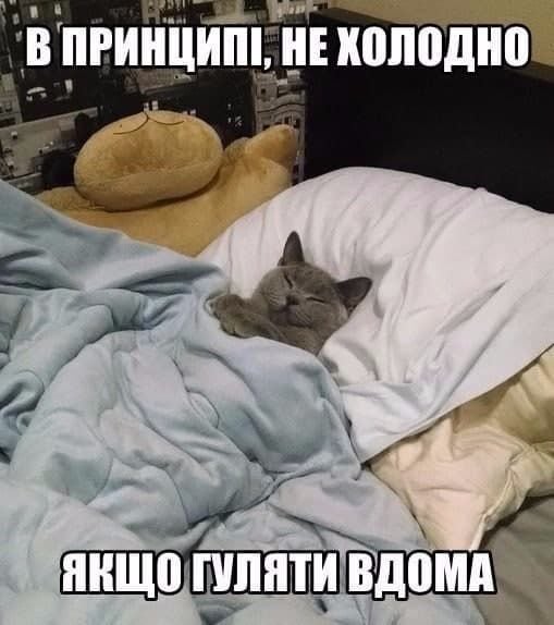 сніг мем