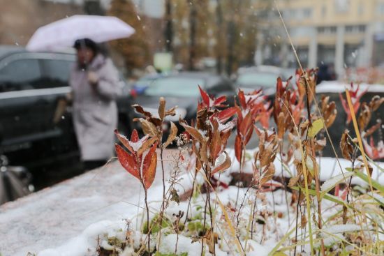 На півночі і в центрі — сніг, на півдні — дощ: прогноз погоди в Україні на вівторок, 2 грудня