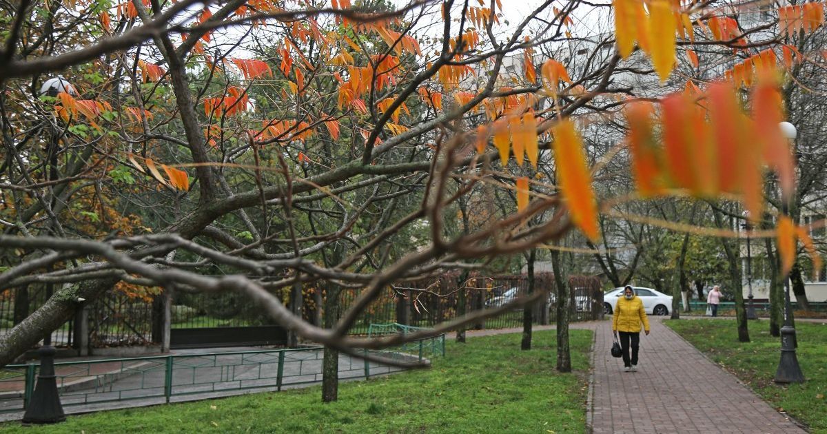 Переважно без опадів та до 6° тепла: прогноз погоди в Україні на п'ятницю, 27 листопада