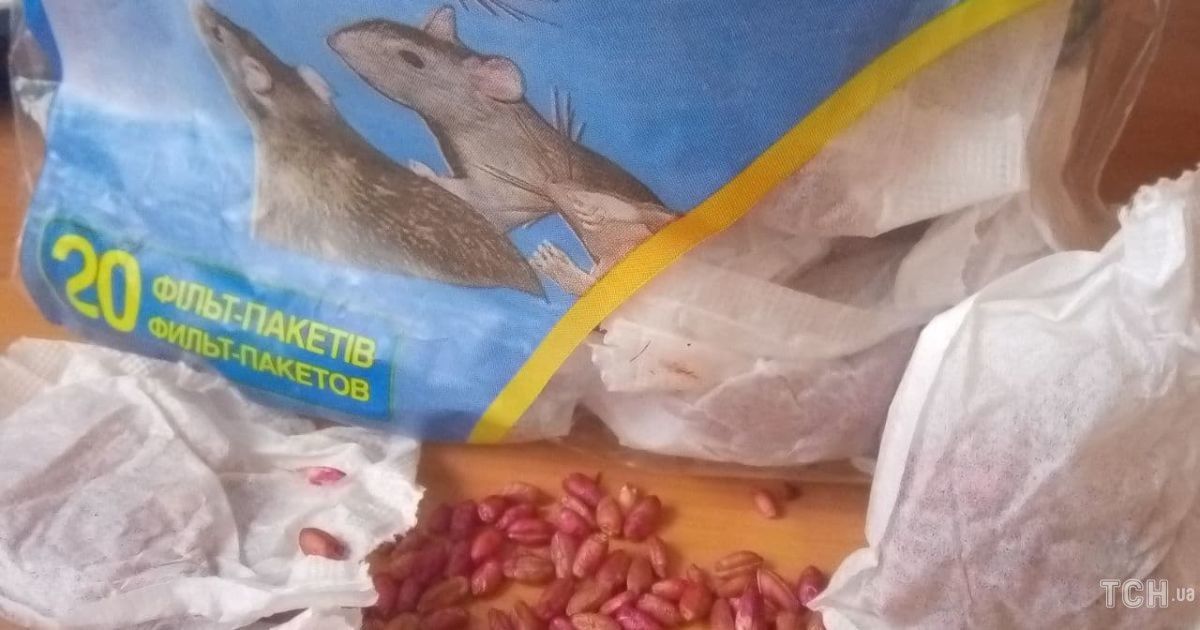 У Кривому Розі однорічна дитина потрапила до реанімації через щурячу отруту