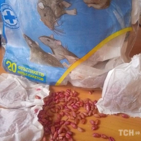 У Кривому Розі однорічна дитина потрапила до реанімації через щурячу отруту