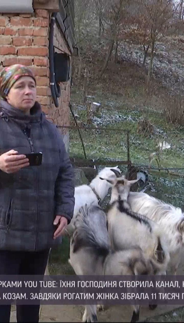 Селянка з Тернопільської області стала ютуб-зіркою завдяки козам