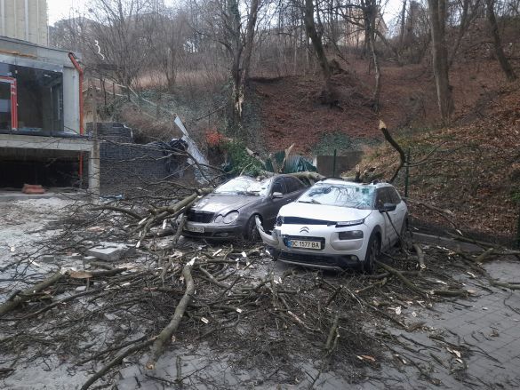 Буревій у Львові