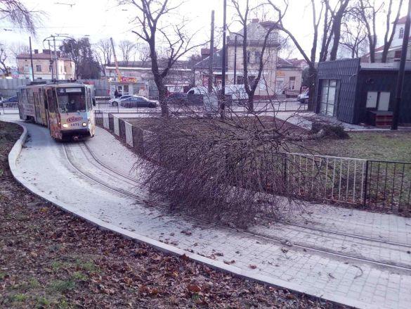 Буревій у Львові