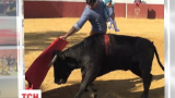 Испанский матадор выложил в интернет фотографии, на которых с ребенком на руках укрощает быка