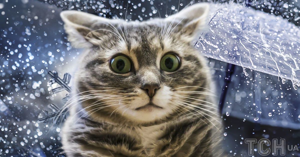 Погода в Україні