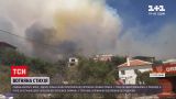 Новости мира: юг Европы охватили масштабные пожары