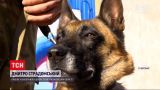 Новости Украины: полицейские-кинологи поделились секретами дрессировки собак