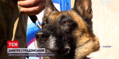 Новости Украины: полицейские-кинологи поделились секретами дрессировки собак