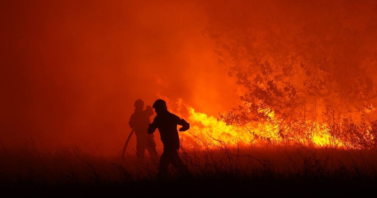 Пожар на Полтавщине Фото: ГСЧС Украины