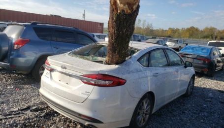 На відомому аукціоні продають Ford Fusion, із якого стирчить стовбур сосни