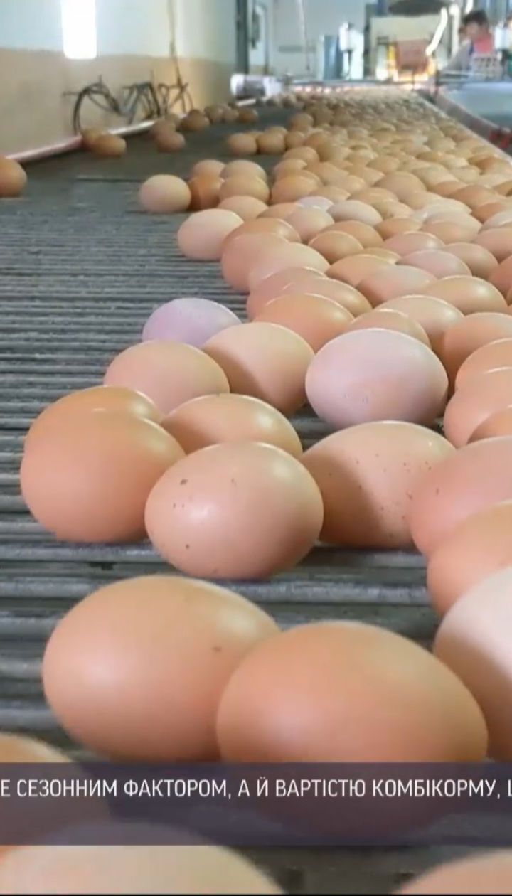 Стратегічний продукт: чому в Україні подорожчали яйця