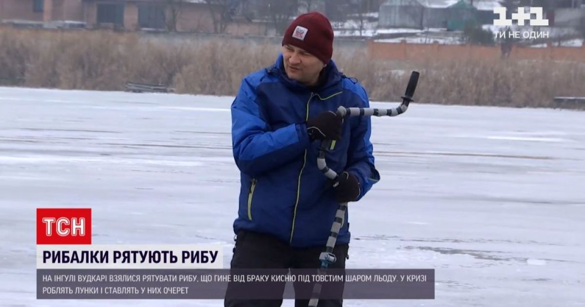 У Кропивницькому рятували рибу від браку кисню: що сталося
