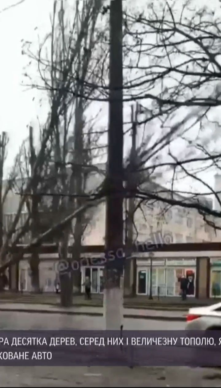 В Одессе из-за порывистого ветра упали полтора десятка деревьев