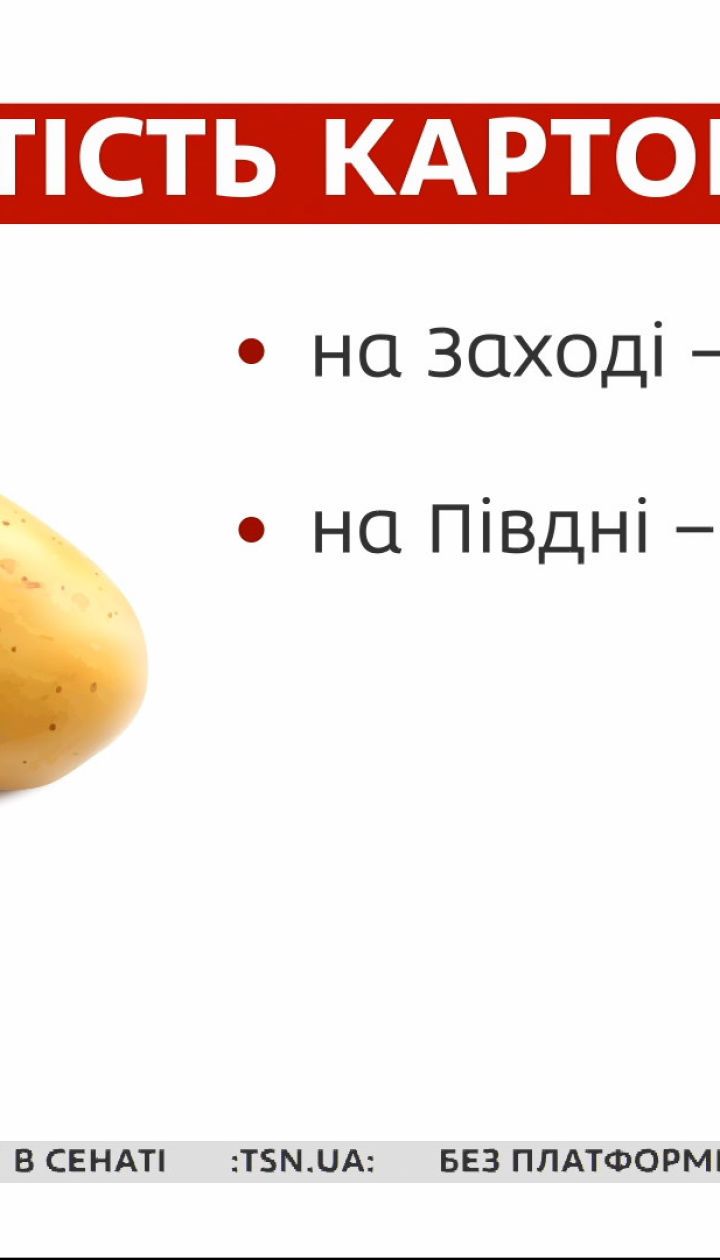 В Украине подорожала картошка — Экономические новости