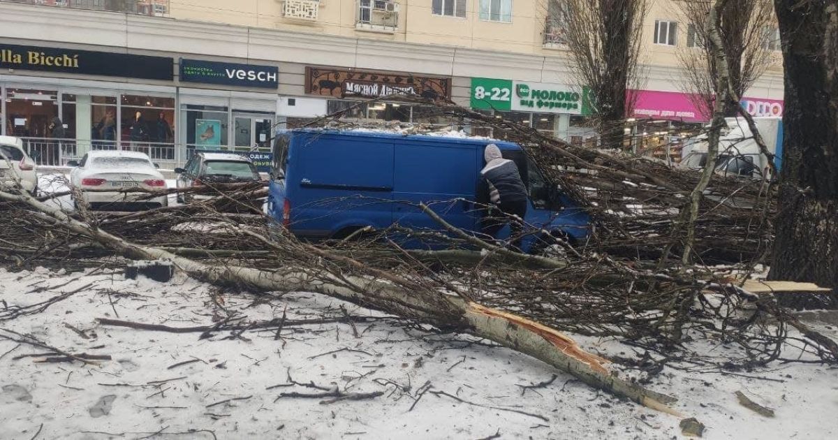 В Одесі через негоду дерева впали на будинок і автомобіль: є постраждалий (фото, відео)