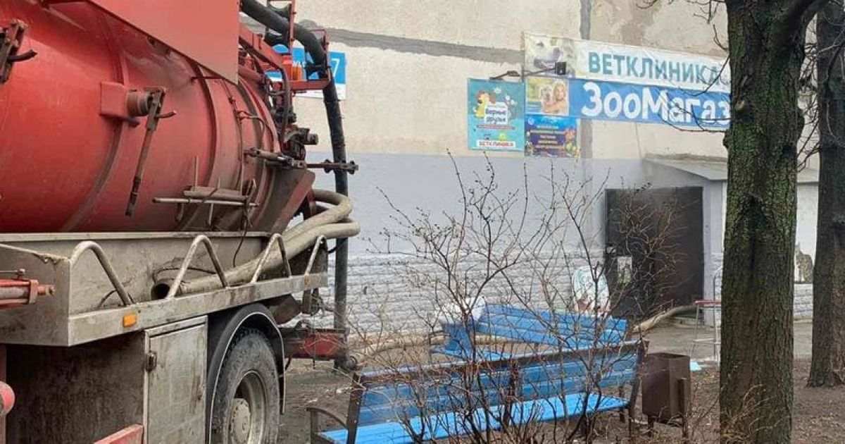 Хомяки сварились: в зоомагазине Харькова животные погибли в кипятке