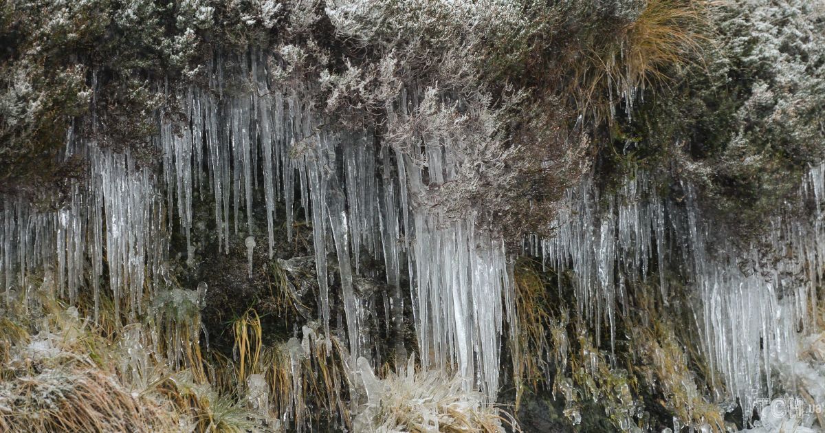 Гороскоп на 17 февраля для всех знаков Зодиака: день, когда нужно бороться с несправедливостью