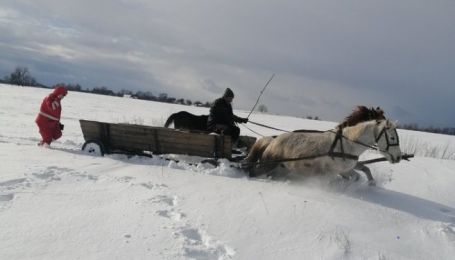 Под Житомиром из-за сугробов больного ребенка везли в больницу повозкой