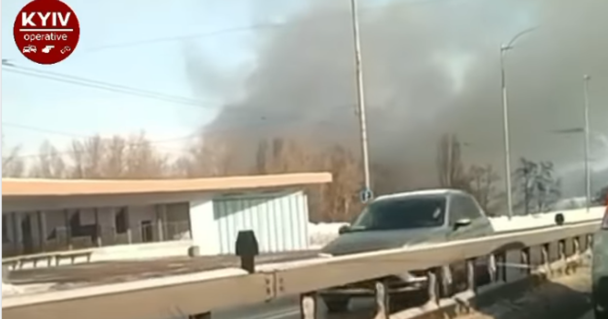 В Киеве возник пожар в парке Муромец (видео)