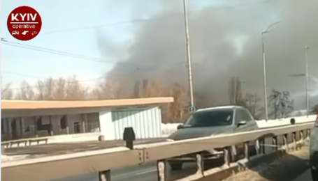В Киеве возник пожар в парке Муромец (видео)