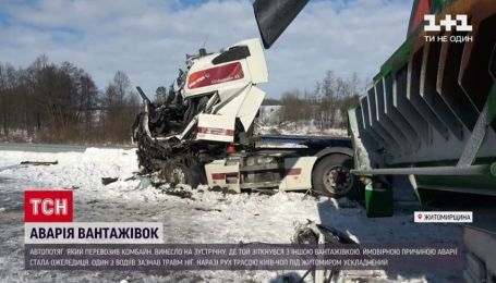 На трассе Киев — Чоп под Житомиром столкнулись фуры