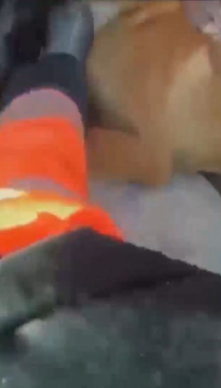 В Малаге пожарные достали со скалы собаку: она попала в ловушку, засунув нос между камнями