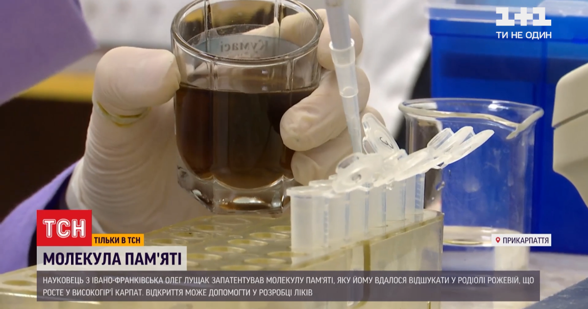 Українець запатентував молекулу пам'яті, яка може допомогти у боротьбі з хворобами Альцгеймера та Паркінсона