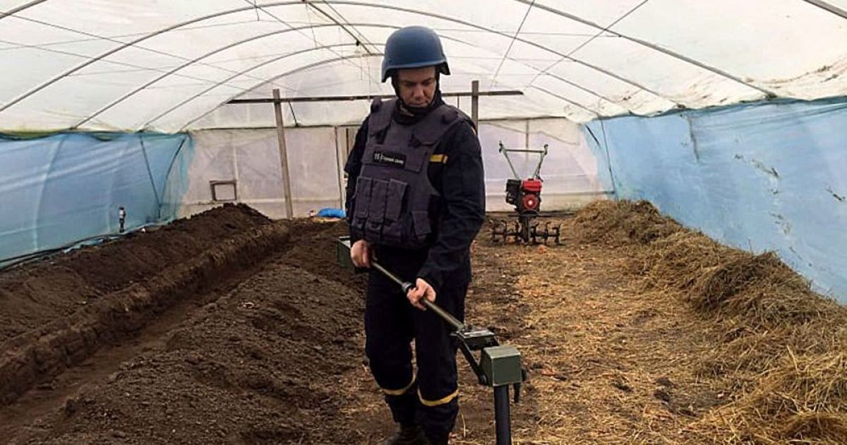 Відголоски Другої світової: у Миколаївській області чоловік знайшов на своєму городі міни