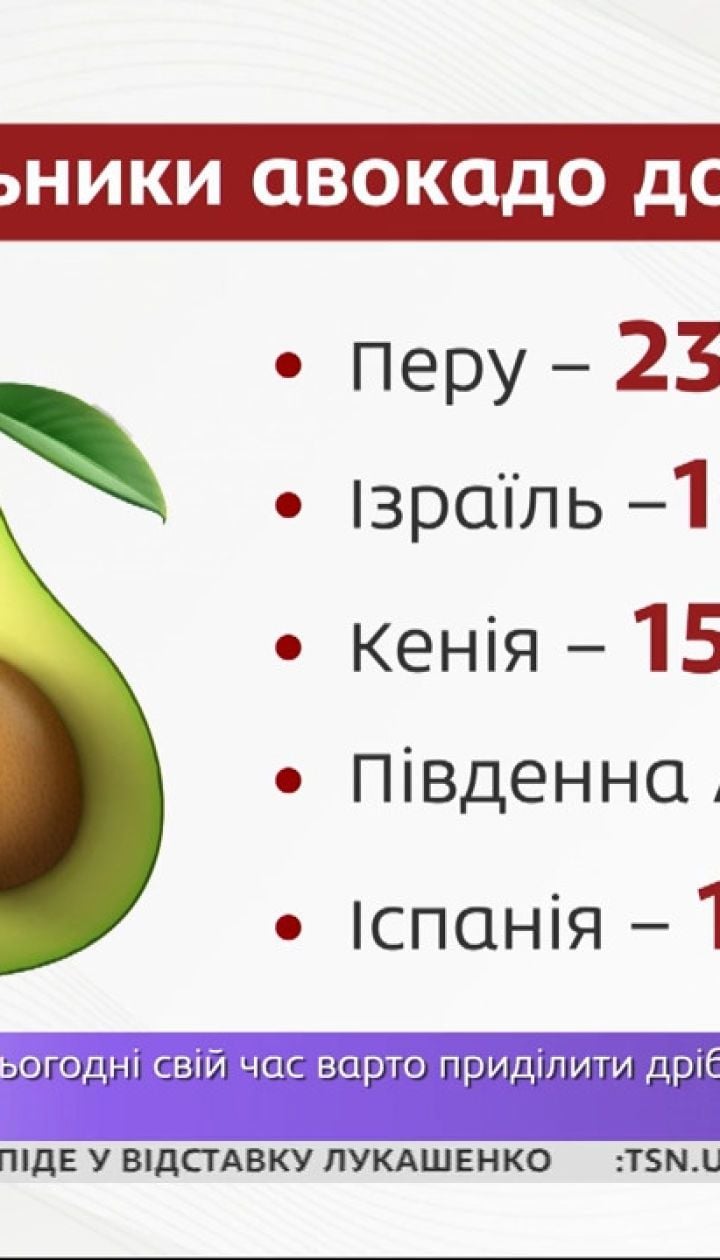 Импорт авокадо вырос в 8 раз – Экономические новости