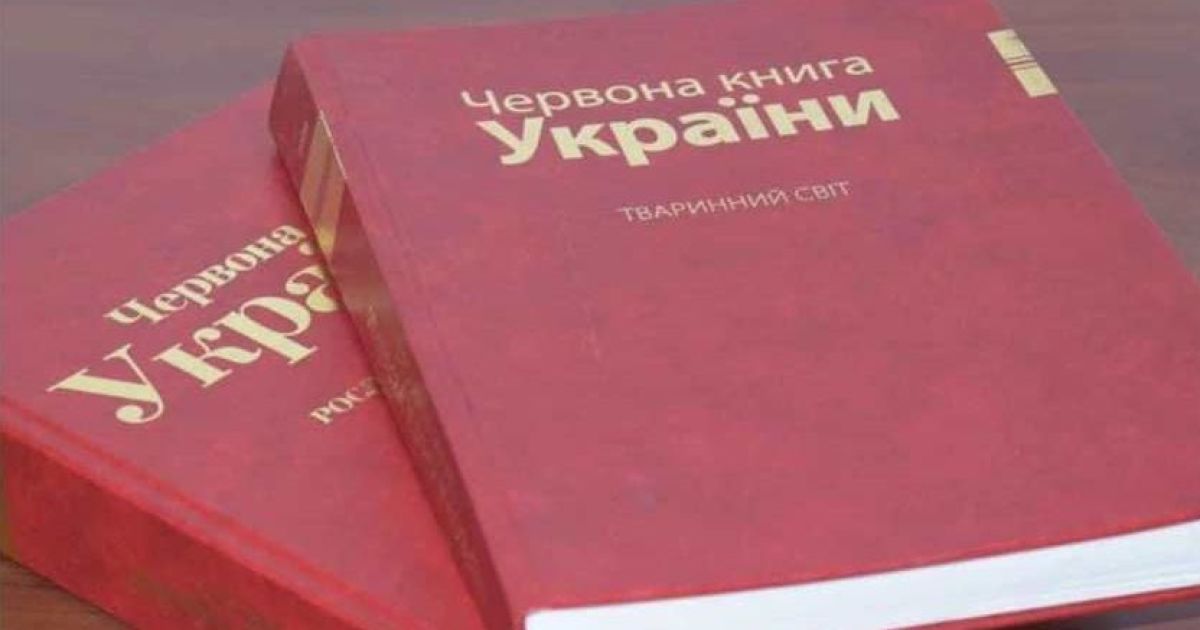 Рак, тритон, ящерица, суслик, угорь и другие: в Красную книгу Украины занесут новый перечень животных