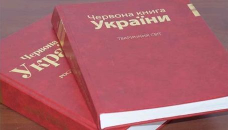 Рак, тритон, ящерица, суслик, угорь и другие: в Красную книгу Украины занесут новый перечень животных