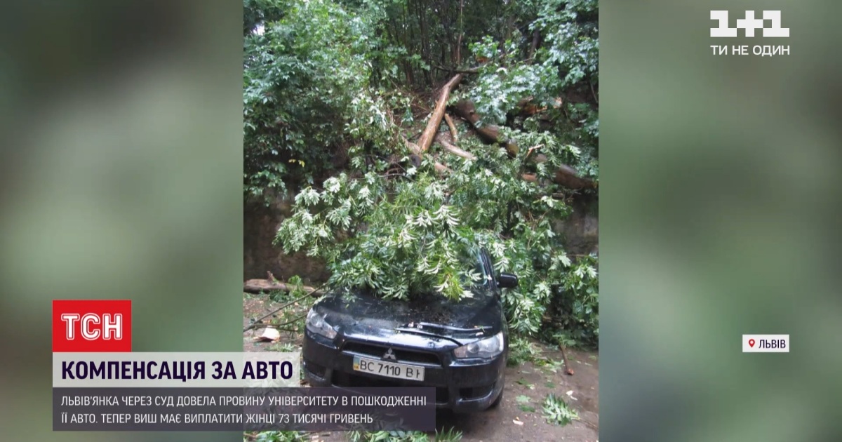Жінка відсудила компенсацію за пошкоджене авто у Львівської політехніки
