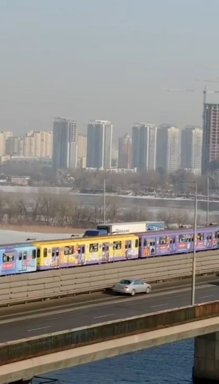 В киевском метро курсирует поезд с изображениями животных из приютов